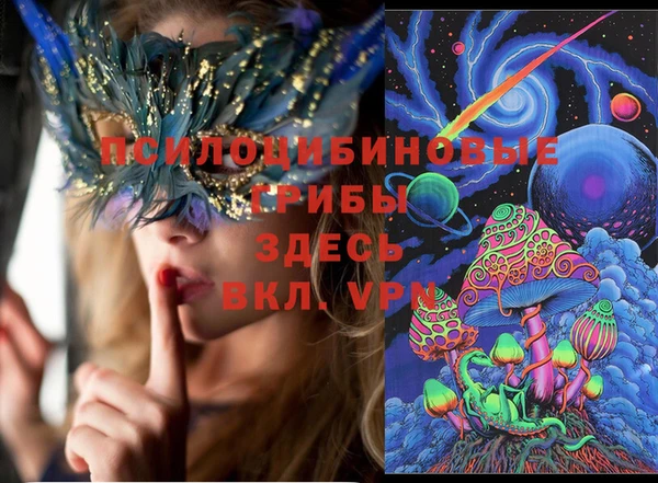прущий лед Алексин